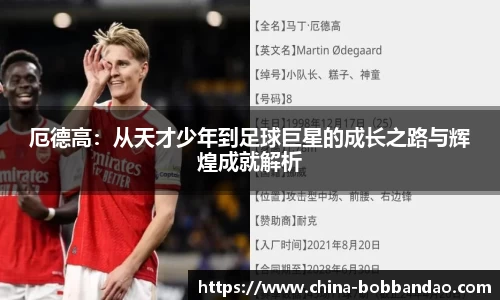 厄德高：从天才少年到足球巨星的成长之路与辉煌成就解析